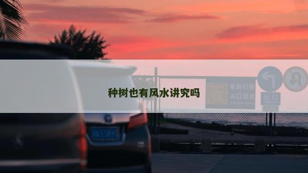 種樹也有風水講究嗎