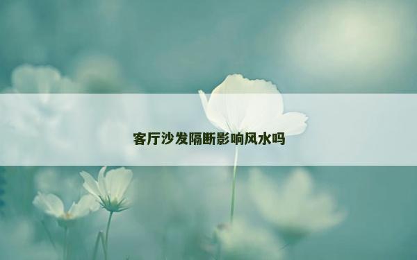 客廳沙發(fā)隔斷影響風(fēng)水嗎