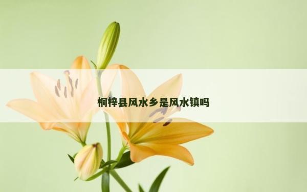 桐梓縣風水鄉是風水鎮嗎 桐梓縣風水鄉是風水鎮嗎
