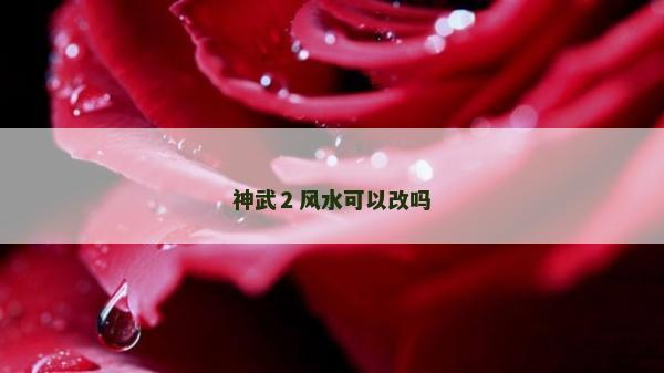 神武２風(fēng)水可以改嗎