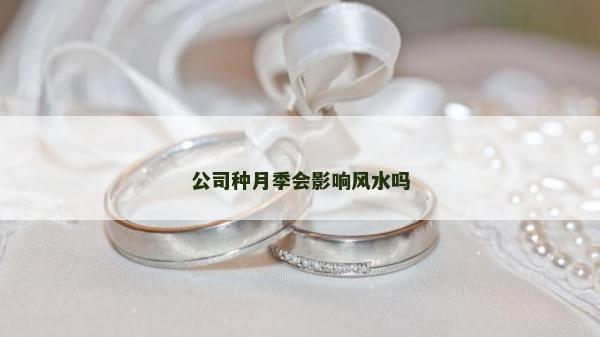 公司種月季會影響風水嗎 公司種月季會影響風水嗎