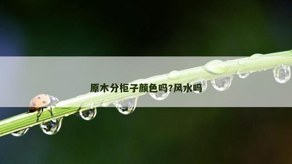 原木分柜子顏色嗎?風水嗎