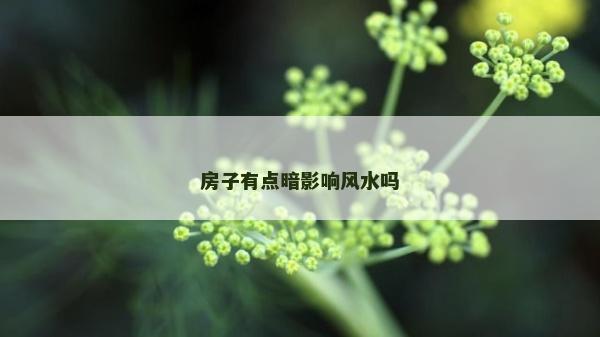 房子有點暗影響風水嗎