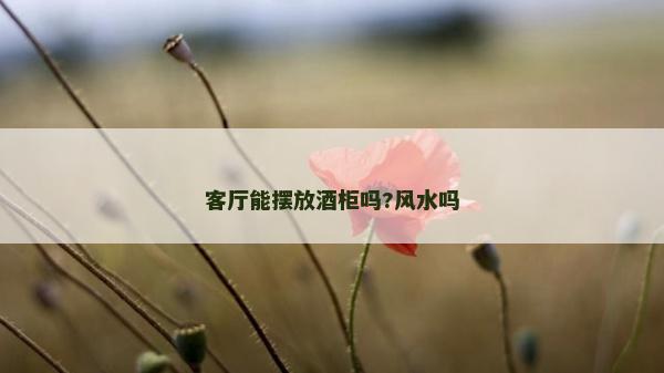 客廳能擺放酒柜嗎?風(fēng)水嗎