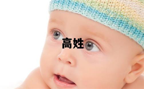 高姓有涵養的男寶寶名字