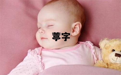 葶字取名的寓意 葶字取名的寓意女孩