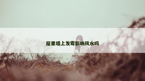 屋里墻上發霉影響風水嗎
