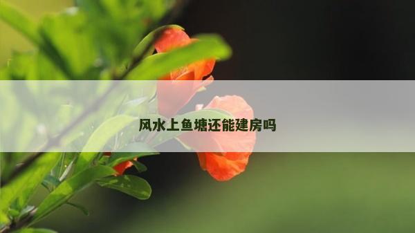 風水上魚塘還能建房嗎
