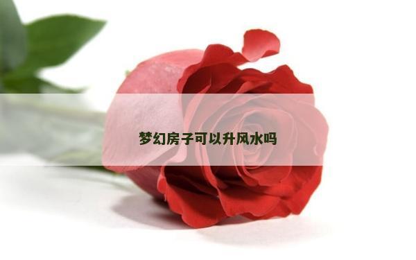 夢幻房子可以升風水嗎