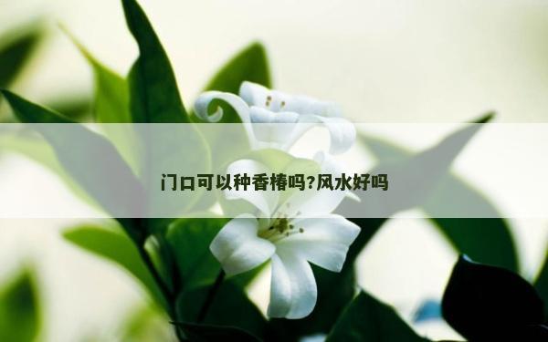 門口可以種香椿嗎?風水好嗎