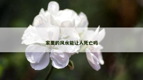 家里的風水能讓人死亡嗎