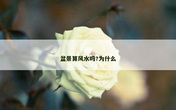 盆景算風水嗎?為什么