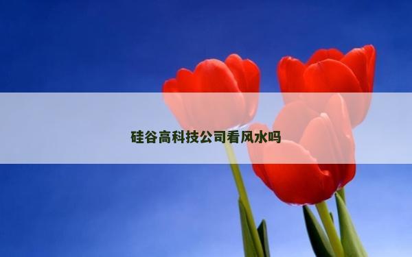 硅谷高科技公司看風水嗎 硅谷高科技公司看風水嗎
