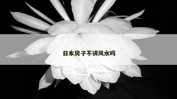 日本房子不講風(fēng)水嗎