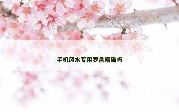 手機風水專用羅盤精確嗎