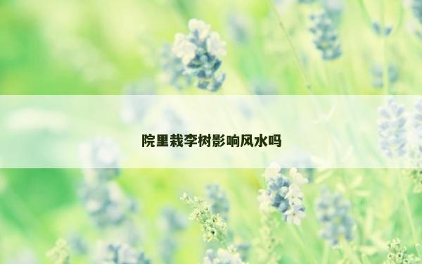 院里栽李樹影響風(fēng)水嗎