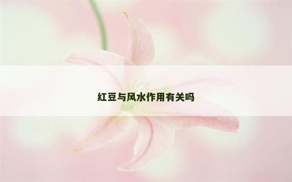 紅豆與風水作用有關嗎