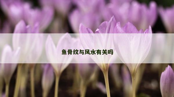 魚骨紋與風水有關嗎