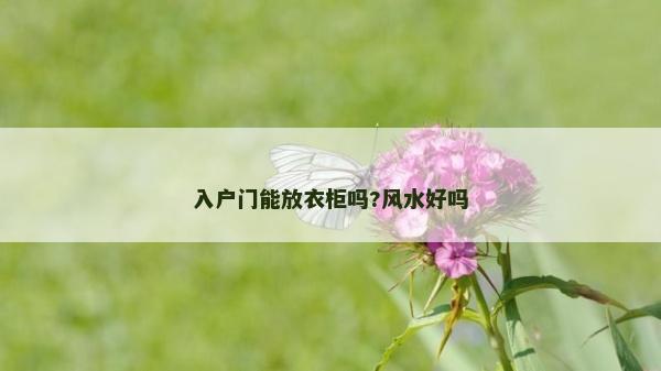 入戶門能放衣柜嗎?風(fēng)水好嗎