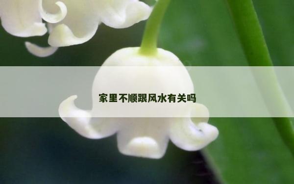 家里不順跟風水有關嗎