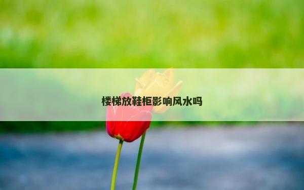 樓梯放鞋柜影響風水嗎