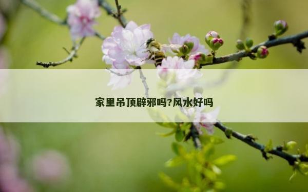家里吊頂辟邪嗎?風水好嗎