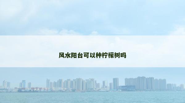 風(fēng)水陽(yáng)臺(tái)可以種檸檬樹嗎