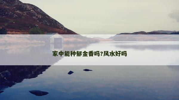 家中能種郁金香嗎?風水好嗎 家中能種郁金香嗎?風水好嗎