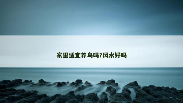 家里適宜養(yǎng)鳥嗎?風水好嗎
