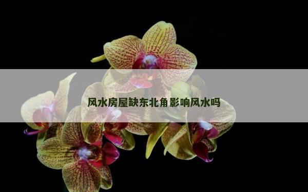 風(fēng)水房屋缺東北角影響風(fēng)水嗎