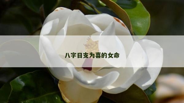 八字日支為喜的女命