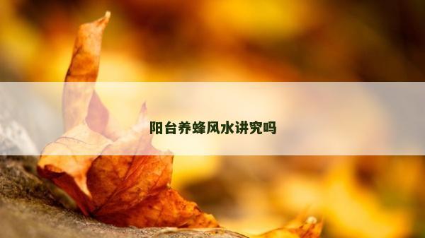 陽臺養蜂風水講究嗎