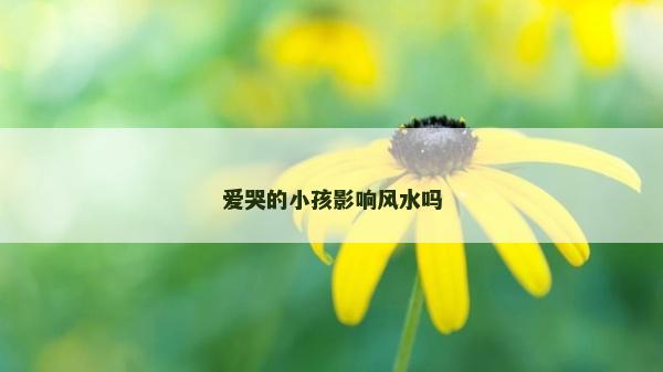 愛哭的小孩影響風水嗎