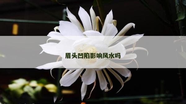 眉頭凹陷影響風水嗎