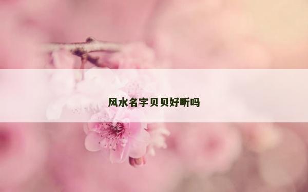 風(fēng)水名字貝貝好聽嗎