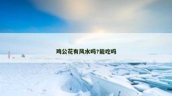 雞公花有風水嗎?能吃嗎