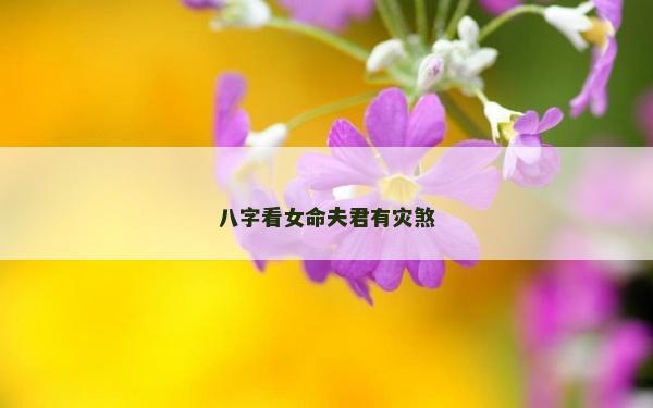 八字看女命夫君有災煞