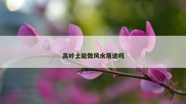 高嶺土能做風水用途嗎
