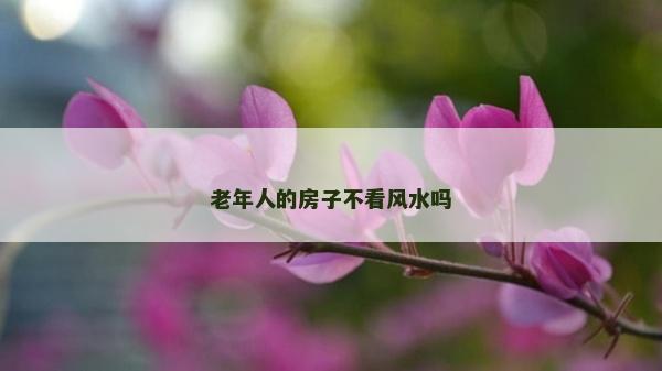 老年人的房子不看風(fēng)水嗎