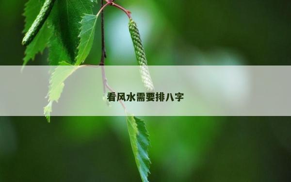 看風(fēng)水需要排八字