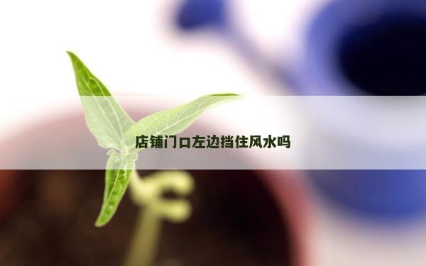 店鋪門口左邊擋住風(fēng)水嗎 店鋪門口左邊擋住風(fēng)水嗎