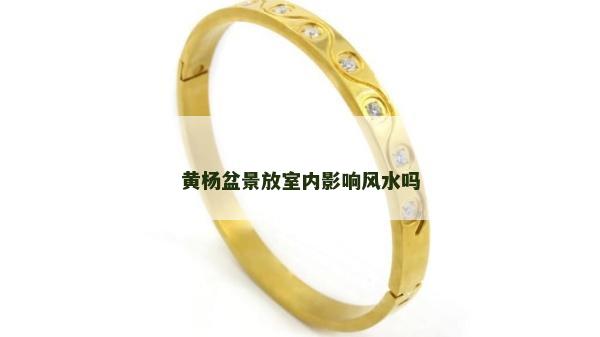 黃楊盆景放室內影響風水嗎 黃楊盆景放室內影響風水嗎