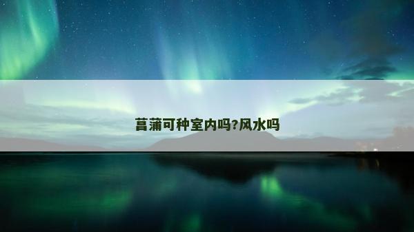菖蒲可種室內(nèi)嗎?風(fēng)水嗎 菖蒲可種室內(nèi)嗎?風(fēng)水嗎