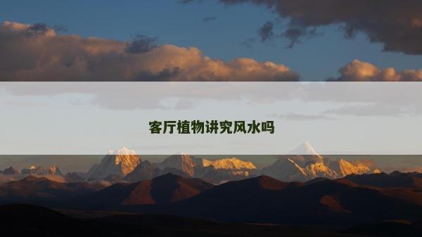 客廳植物講究風水嗎