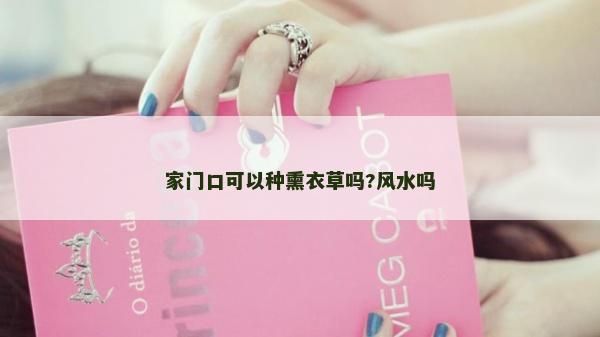 家門口可以種熏衣草嗎?風水嗎