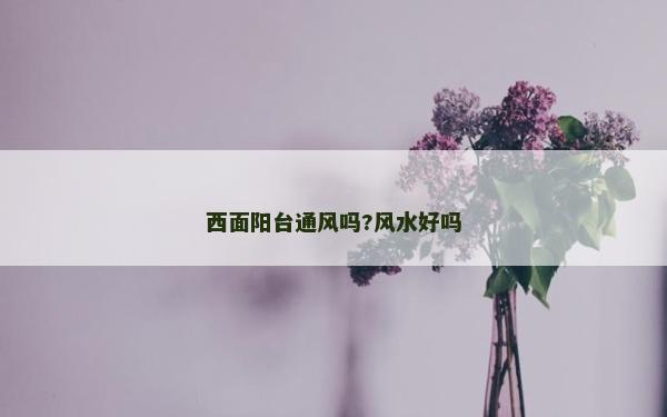 西面陽(yáng)臺(tái)通風(fēng)嗎?風(fēng)水好嗎