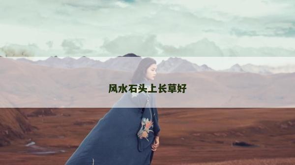 風(fēng)水石頭上長草好