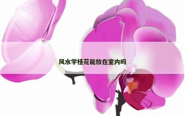 風(fēng)水學(xué)桂花能放在室內(nèi)嗎
