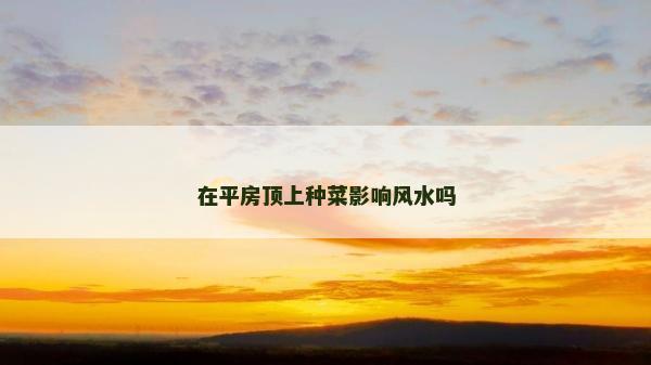 在平房頂上種菜影響風水嗎 在平房頂上種菜影響風水嗎
