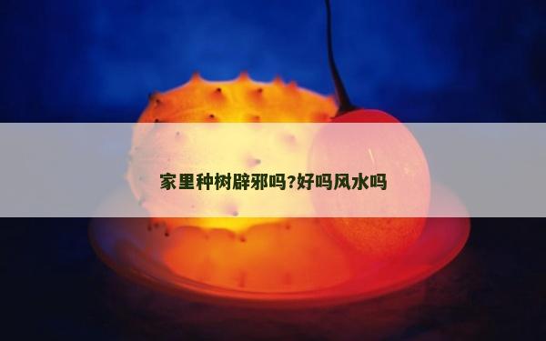 家里種樹辟邪嗎?好嗎風水嗎